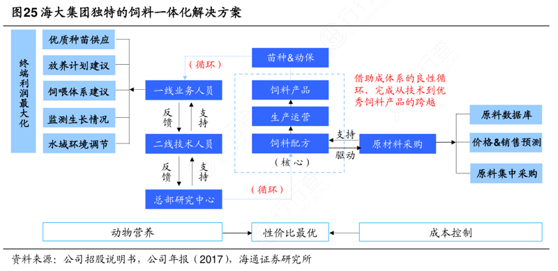 公司注册新趋势：简化流程与智能服务引领未来
